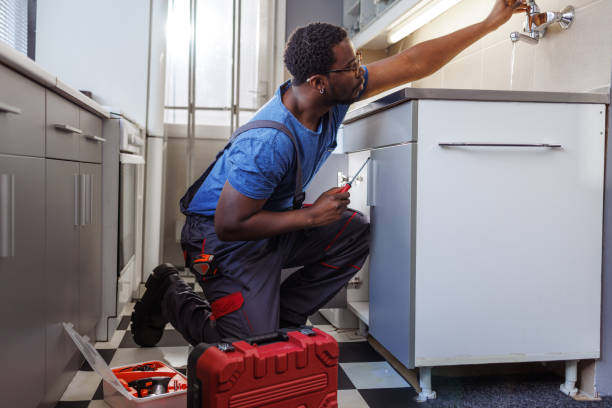 Best Leak Detection Services  in Royalton, MN